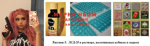 индика Кинешма