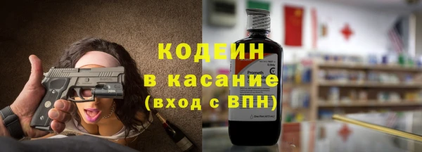 индика Кинешма