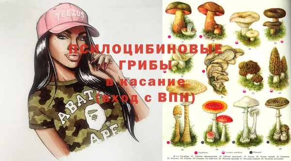 индика Кинешма