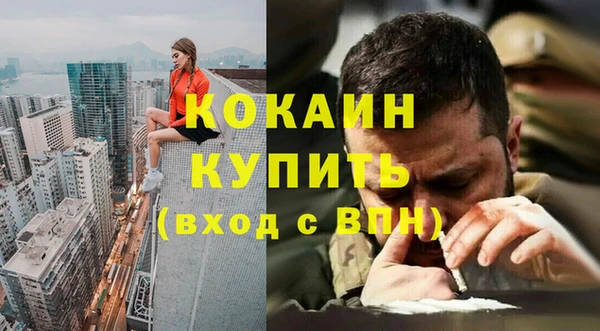 индика Кинешма