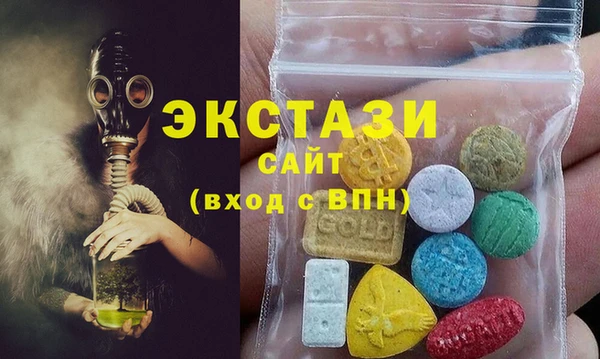 индика Кинешма