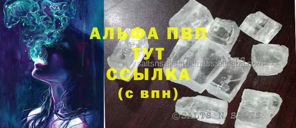 индика Кинешма