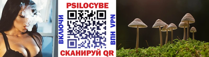 Псилоцибиновые грибы Magic Shrooms  Козельск 